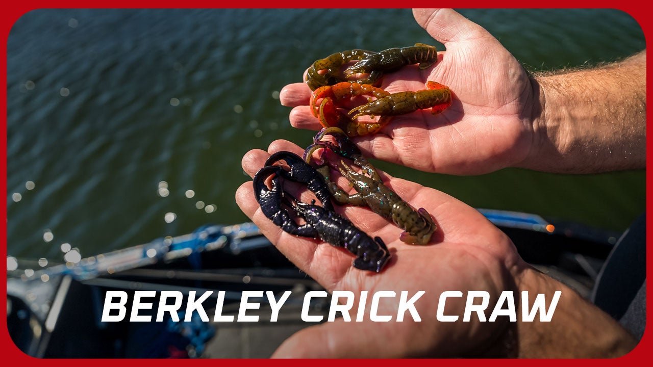 Berkley Crick Craw Product Video