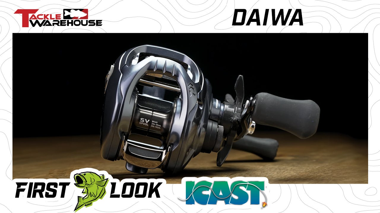 Daiwa SV TW 150 Casting Reel 