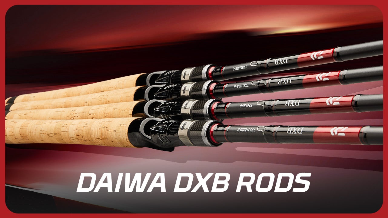 Daiwa DXB Product Video