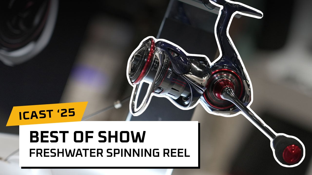 Daiwa Ballistic MQ LT - Best Freshwater Spinning Reel