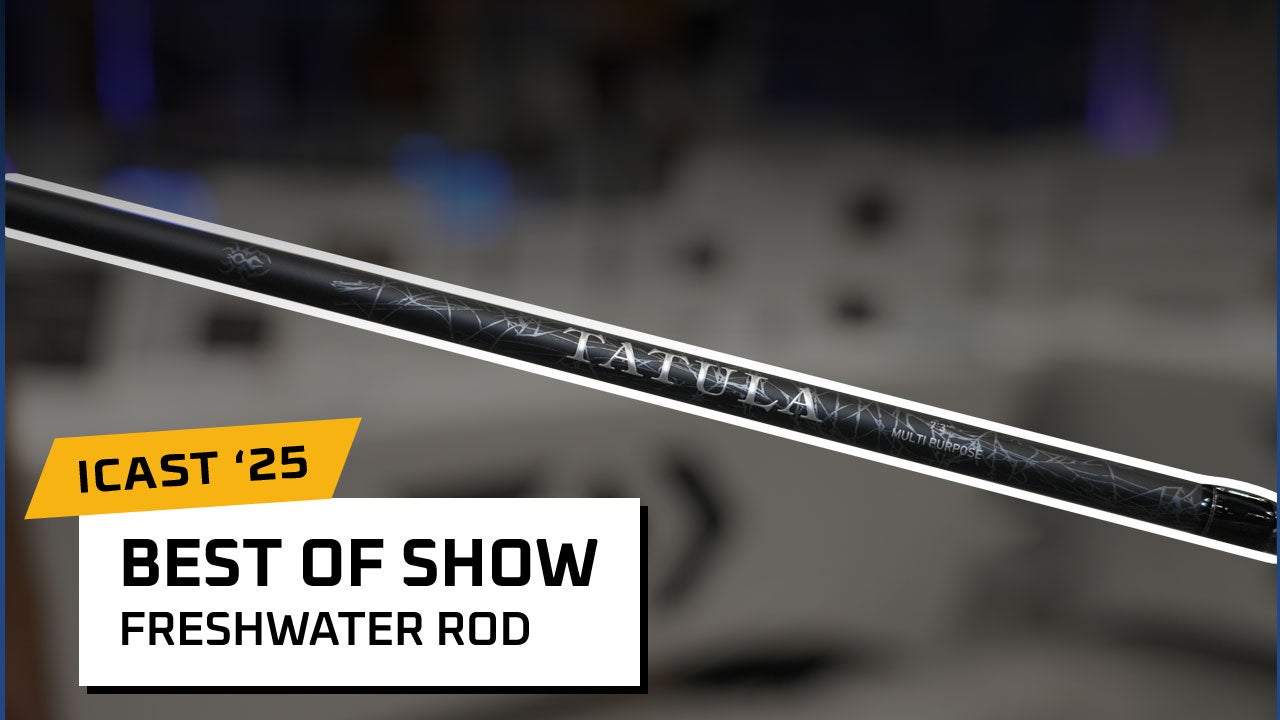 Daiwa Tatula Cork Series Rods - Best Freshwater Rod
