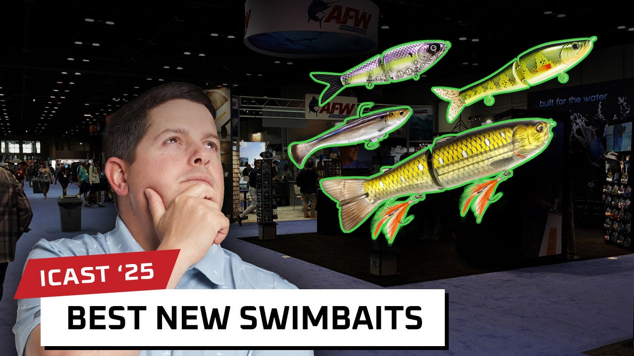 Best New Swimbaits