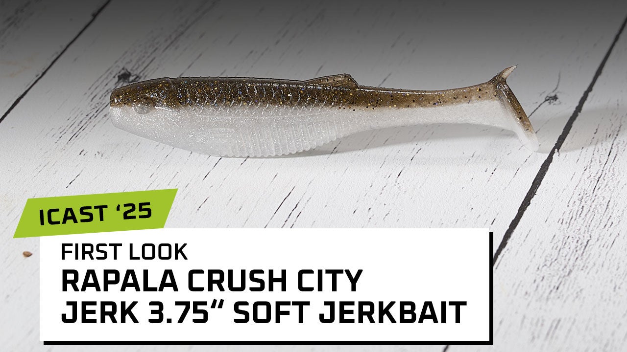 Rapala Crush City Soft Jerkbait