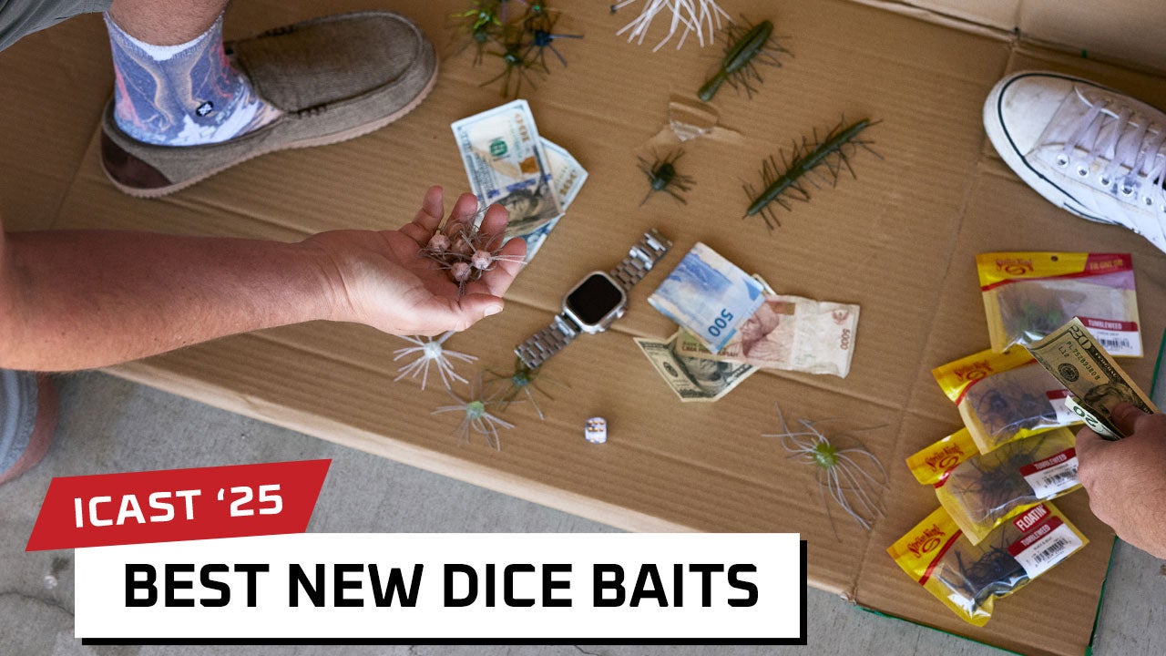 Best New Dice & Fuzzy Baits