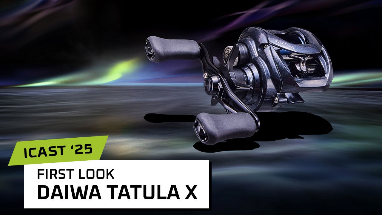 Daiwa Tatula X Casting Reel