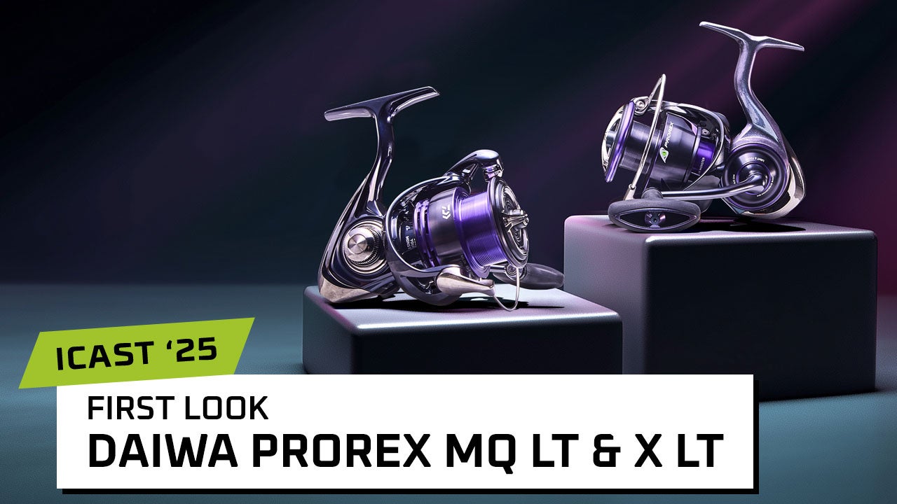 Daiwa Prorex MQ LT and X LT Spinning Reels