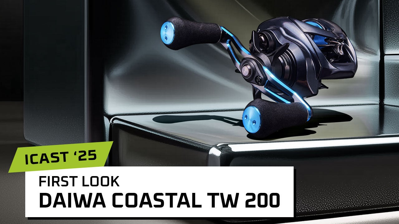 Daiwa Coastal TW 200 Casting Reels