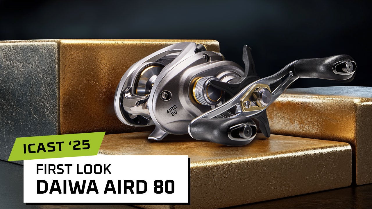 Daiwa Aird 80 Casting Reel