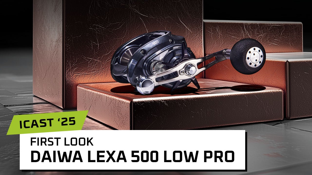 Daiwa Lexa 500 Low Profile Casting Reel