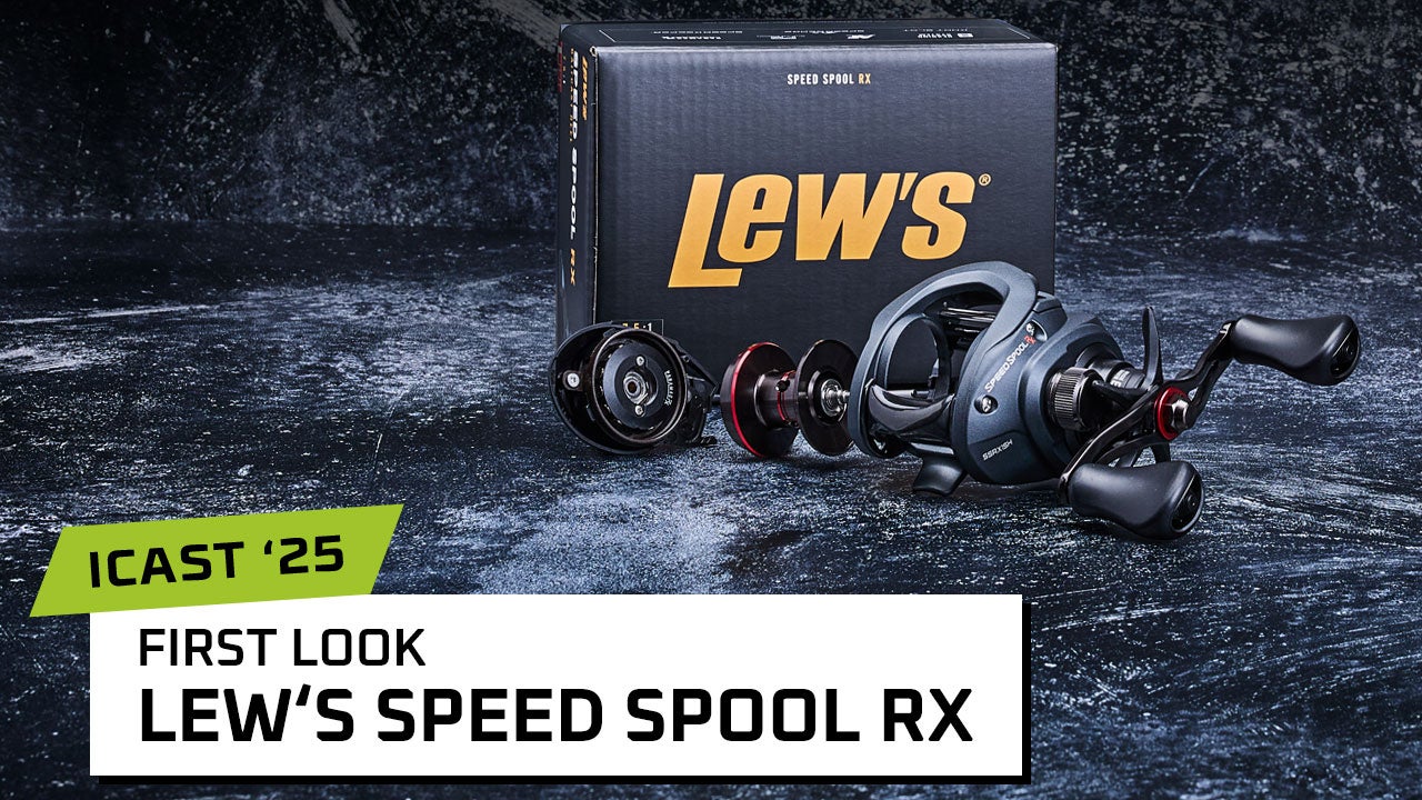 Lew's Speed Spool RX Casting Reels