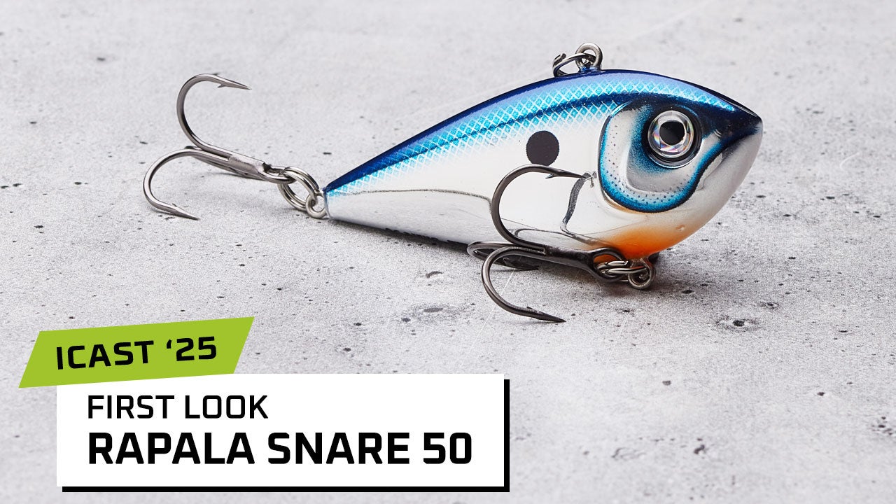 Rapala Snare Lipless Crankbait