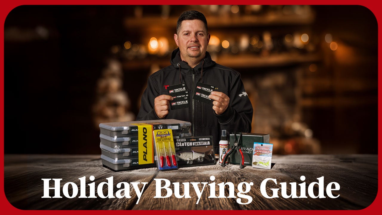 Holiday Buying Guide