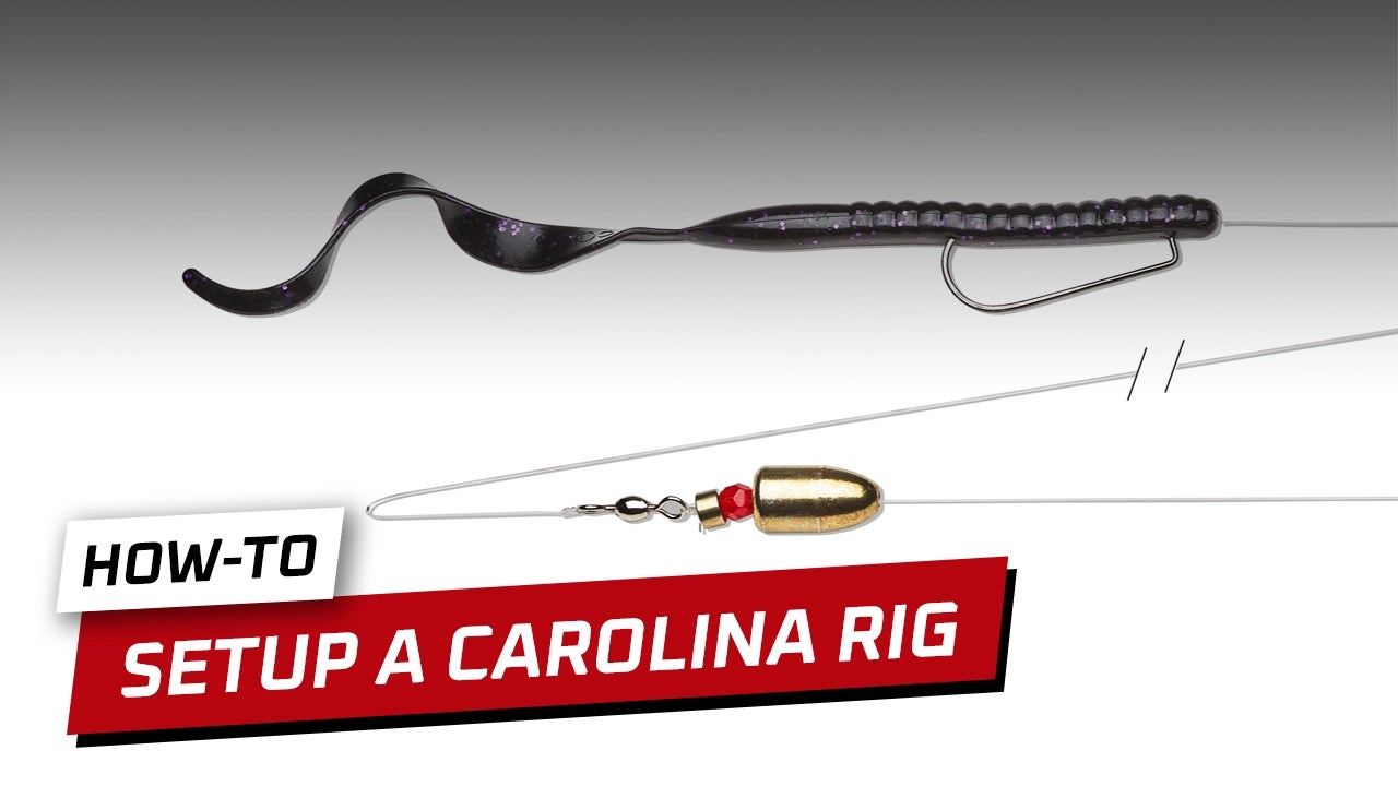 How-To Rig a Carolina Rig