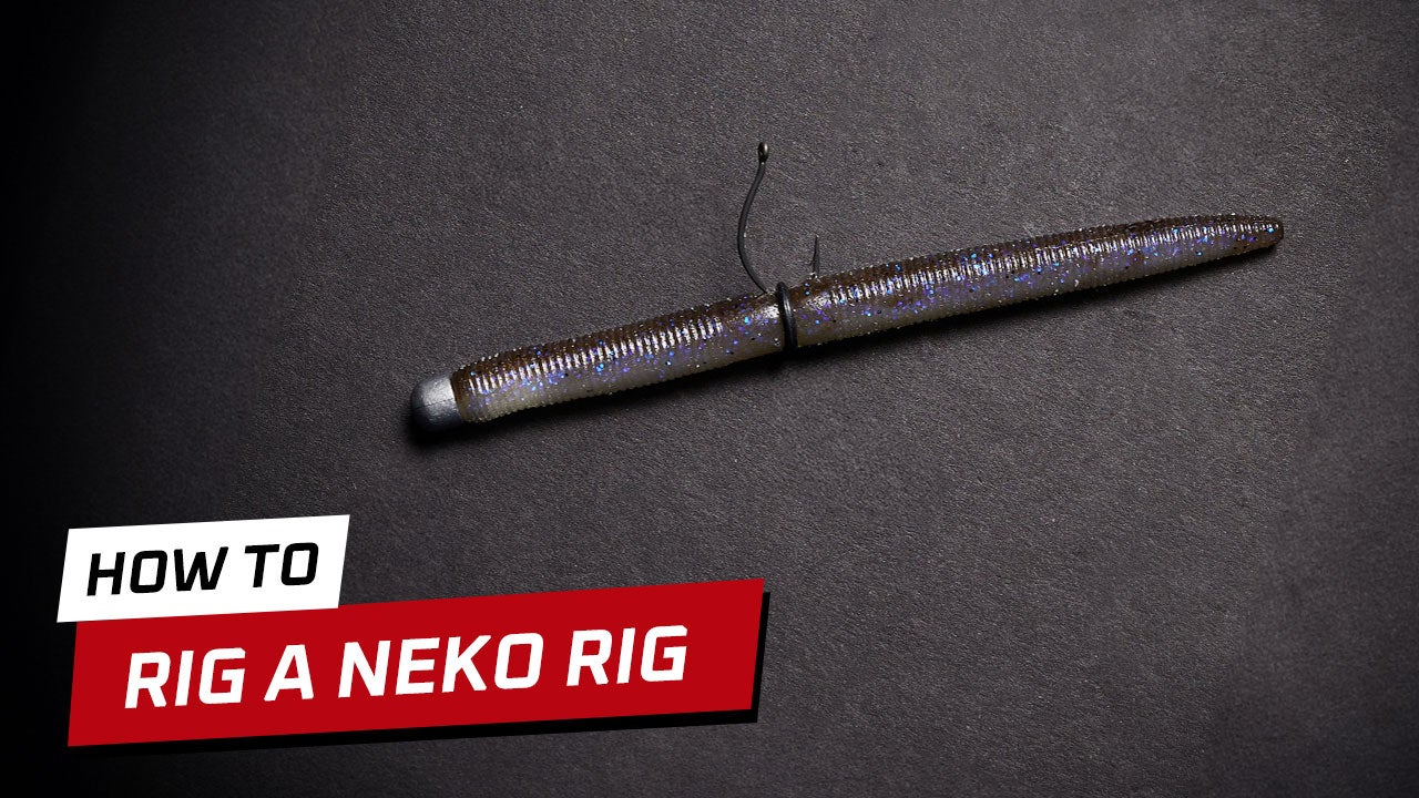 How-To Rig a Neko Rig