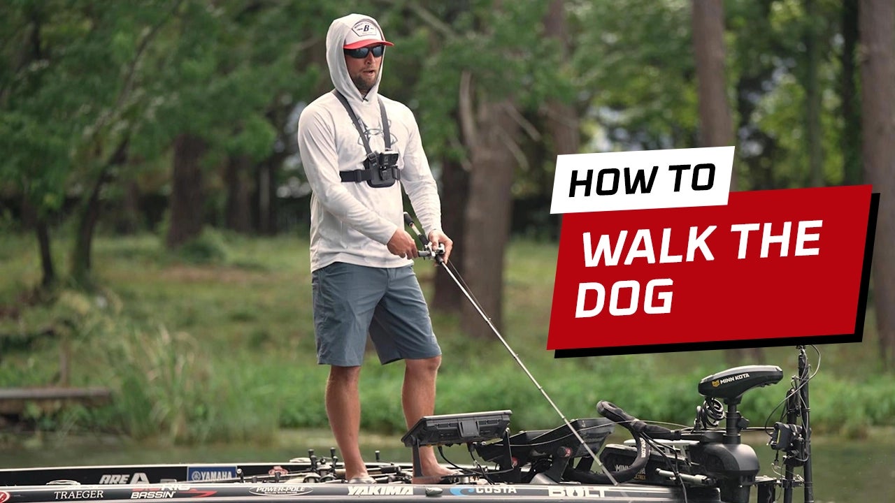How-To Walk the Dog with a Topwater