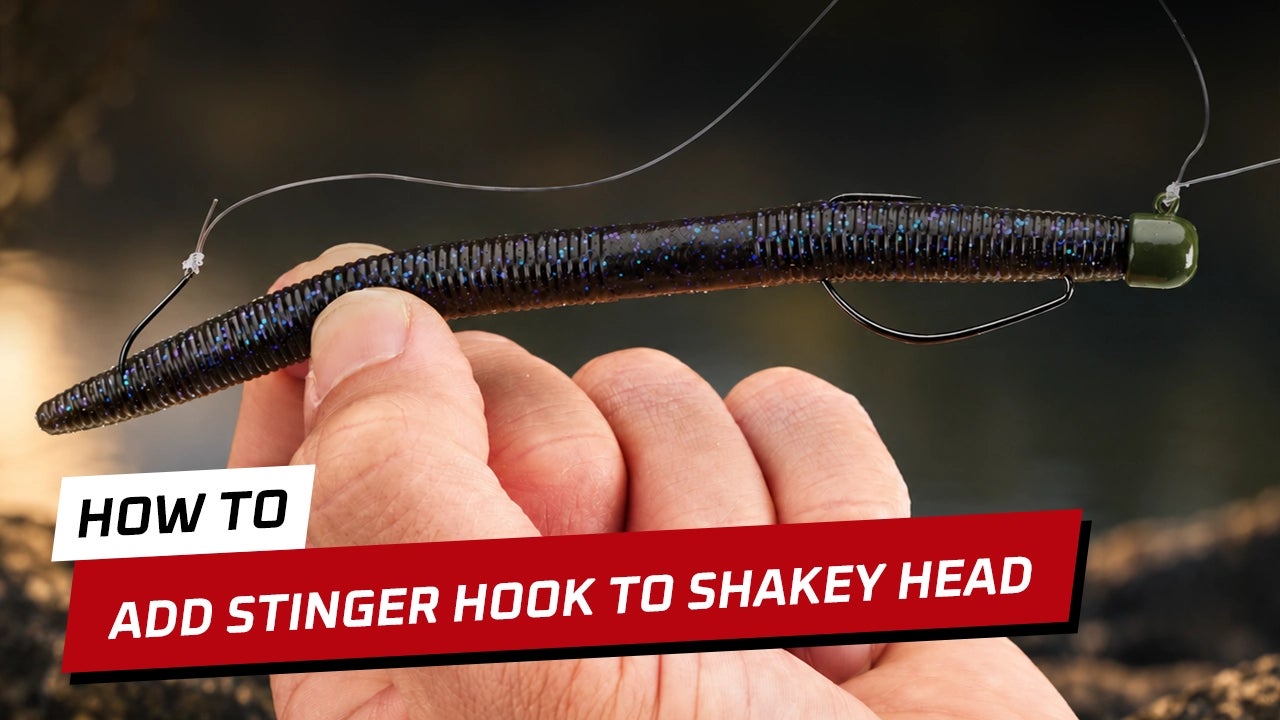 How-To Rig a Shakey Head Stinger Hook with Cody Meyer