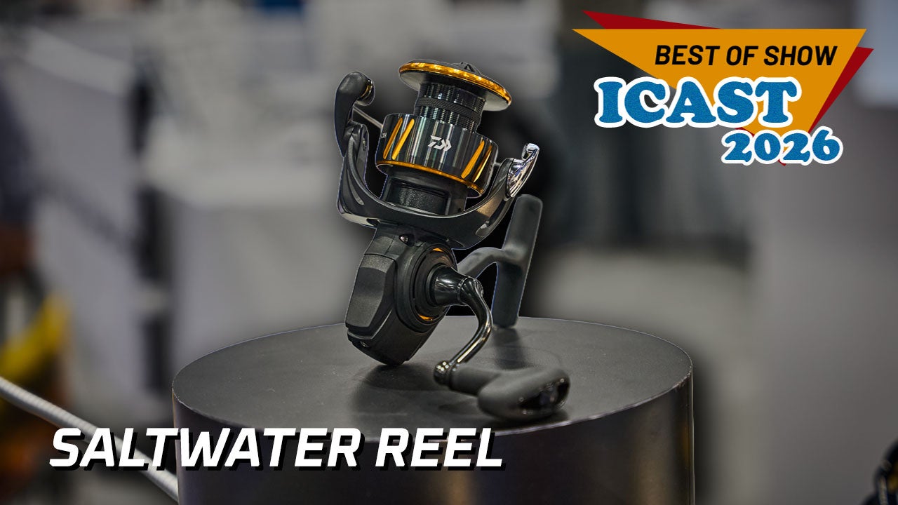 Daiwa BG LT Spinning Reel - Best Saltwater Reel