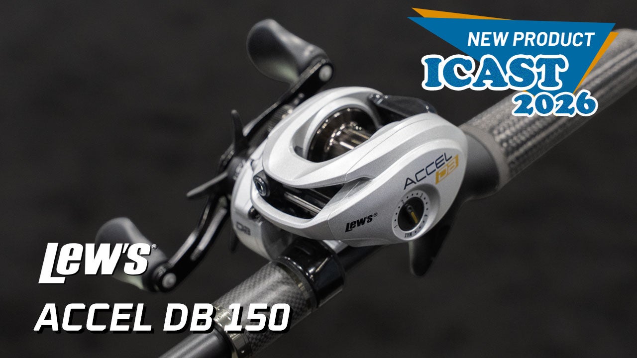 Lew's Accel DB 150 Casting Reels