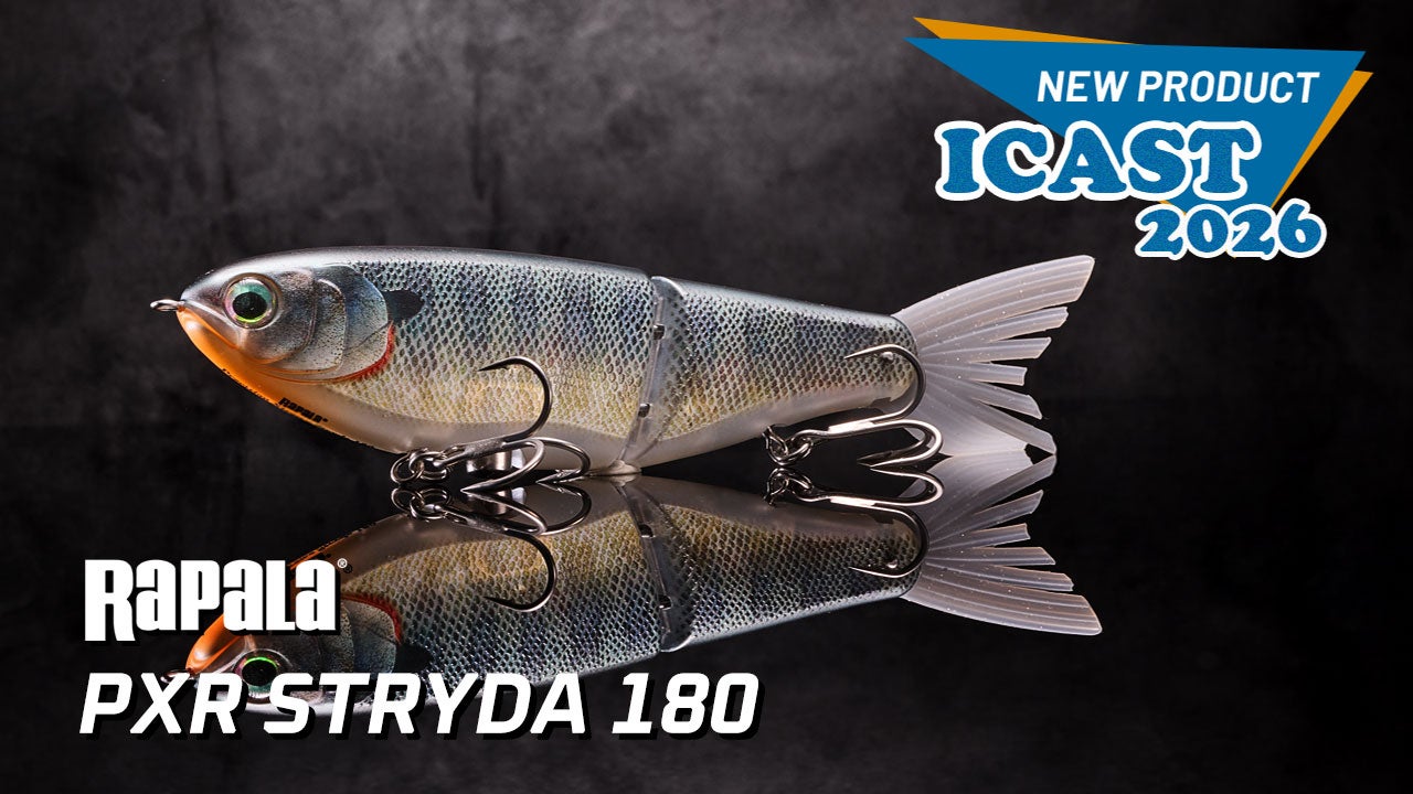 Rapala PXR Stryda 180 Glidebait