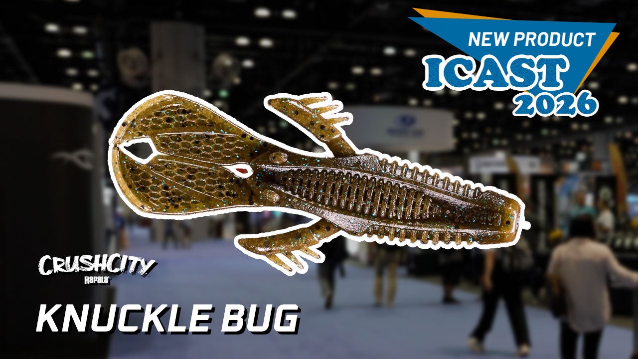 Rapala Crush City Knuckle Bug