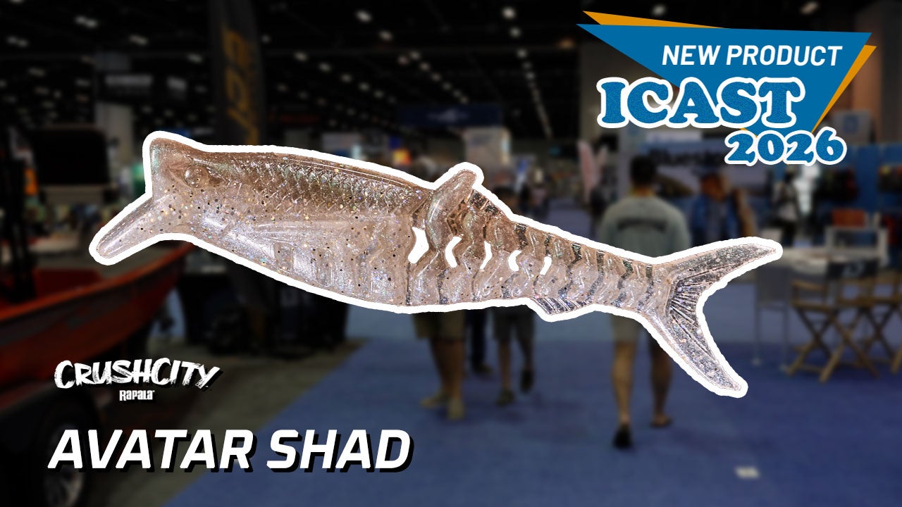 Rapala Crush City Avatar Shad 
