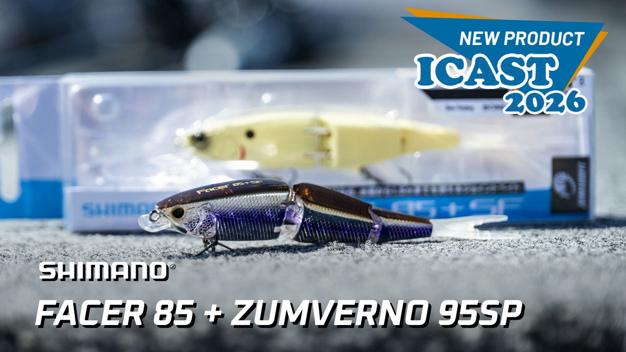 Shimano Facer 85+ & Zumverno Jerkbait