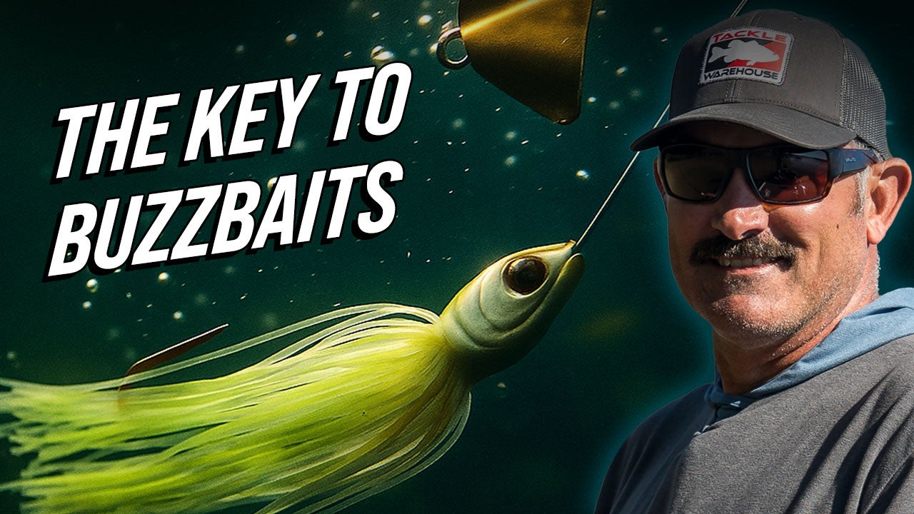 The Key To Buzzbaits with Jared Lintner