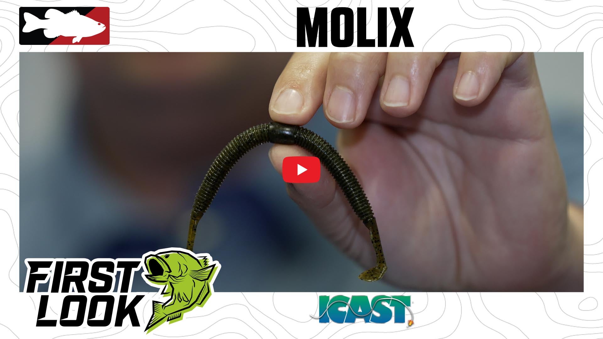 Molix Sneaky Worm 