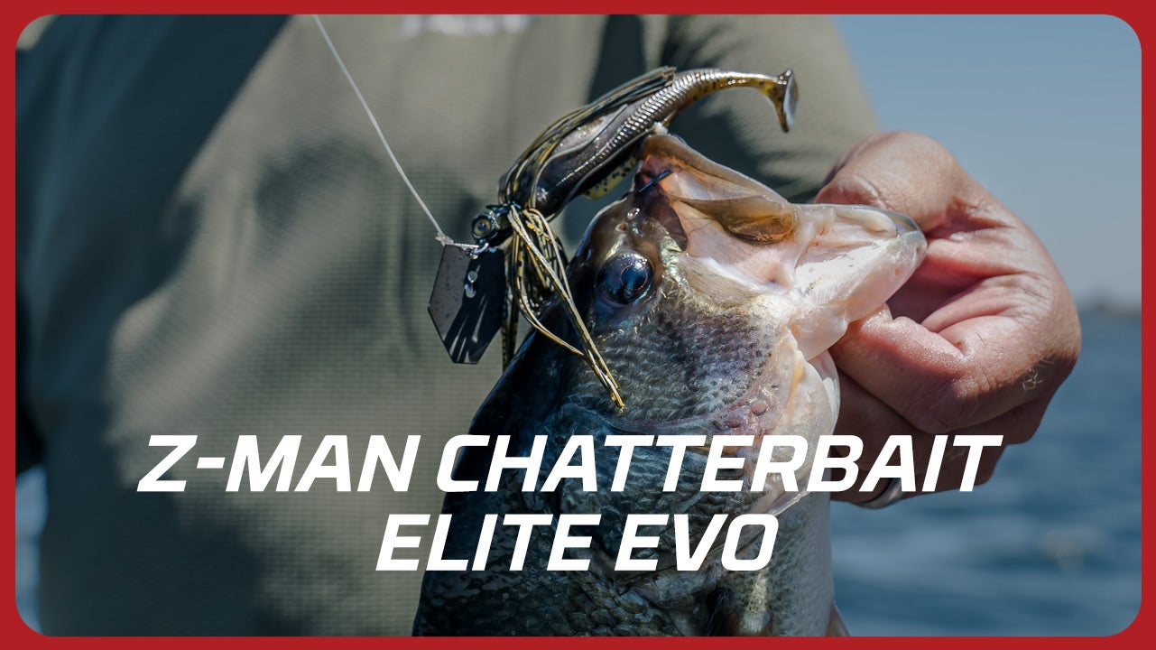 Z-Man Chatterbait Elite EVO with Luke Clausen