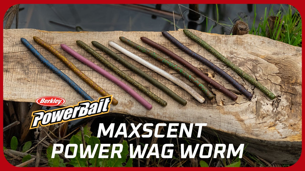 Berkley Maxscent Power Wag Worm with Justin Lucas