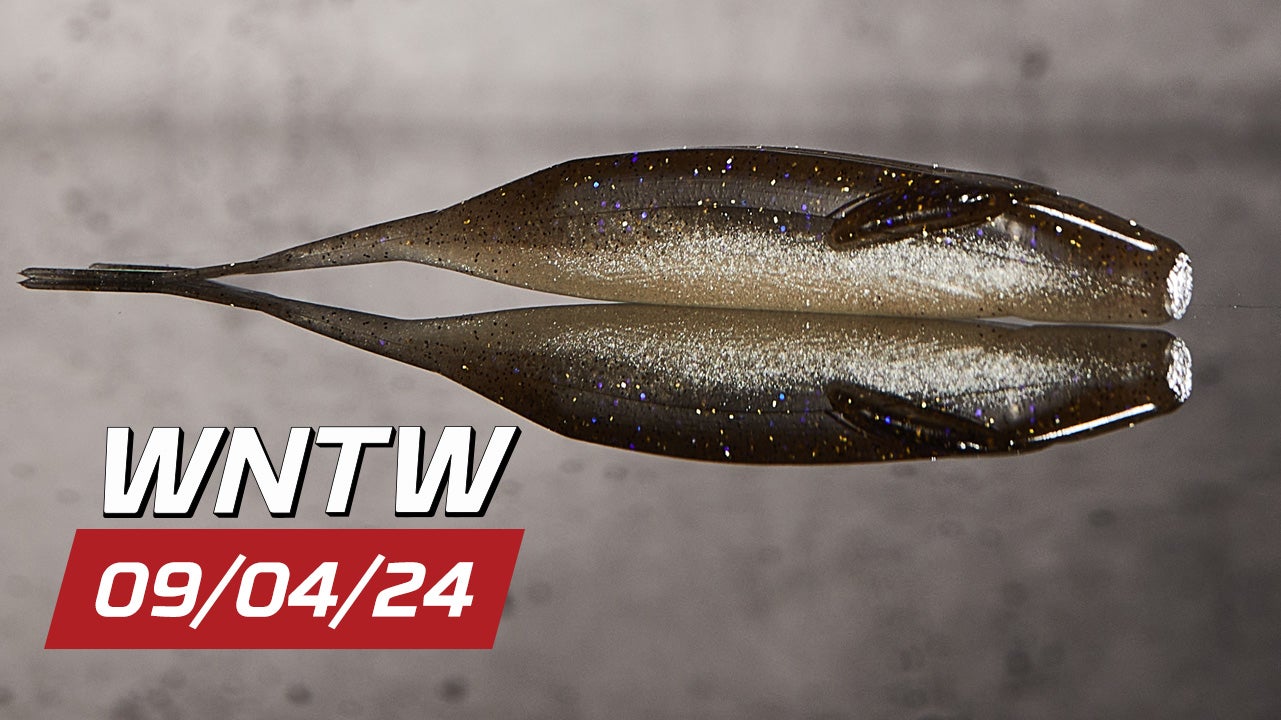 What's New at Tackle Warehouse 09/4/24