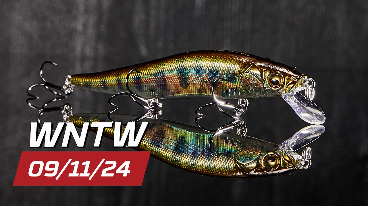 What's New at Tackle Warehouse 09/11/24