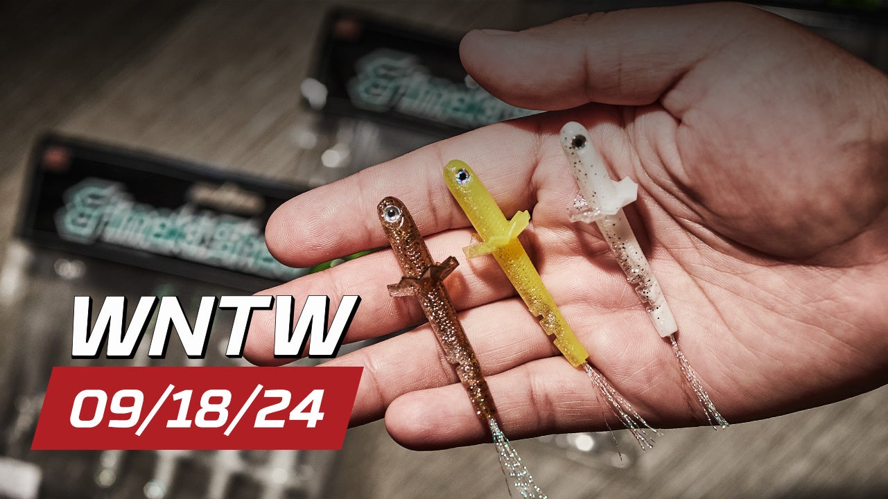 What's New at Tackle Warehouse 9/18/24