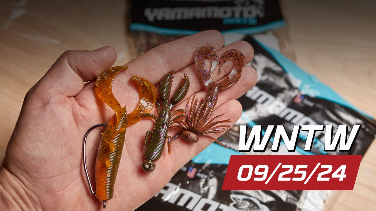 What's New at Tackle Warehouse 9/25/24