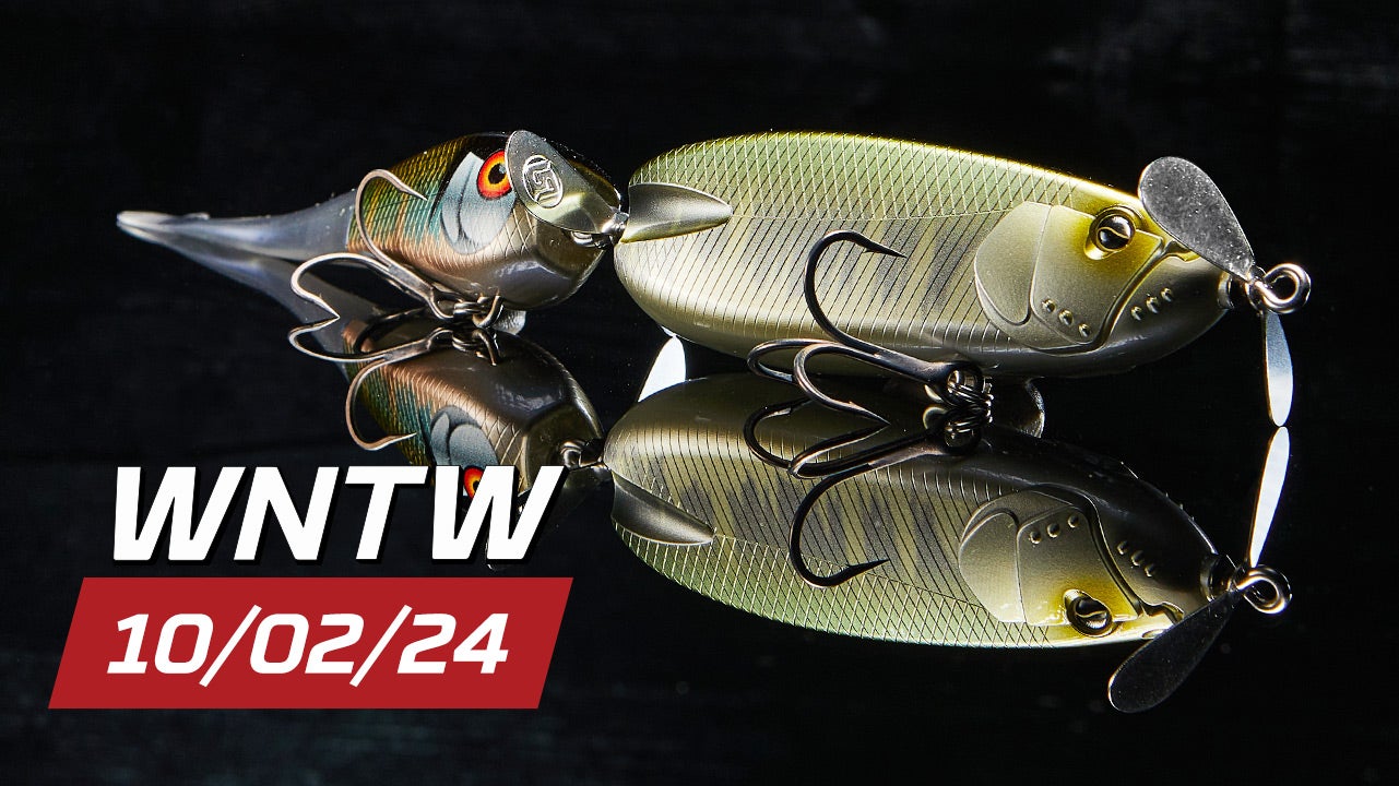 What's New at Tackle Warehouse 10/2/24