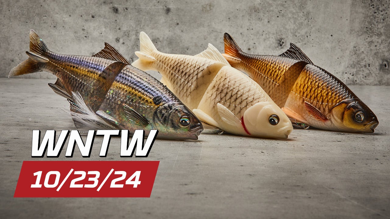 What's New at Tackle Warehouse 10/23/24 