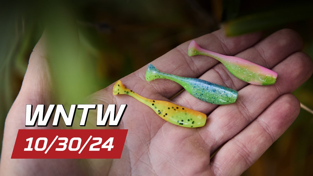 What's New at Tackle Warehouse 10/30/24