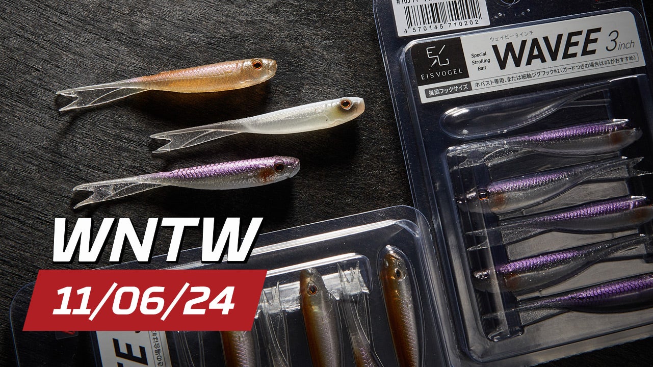 What's New at Tackle Warehouse 11/6/24