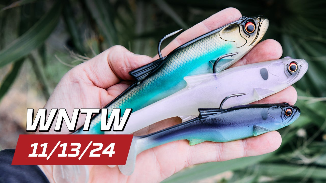 What's New at Tackle Warehouse 11/13/24