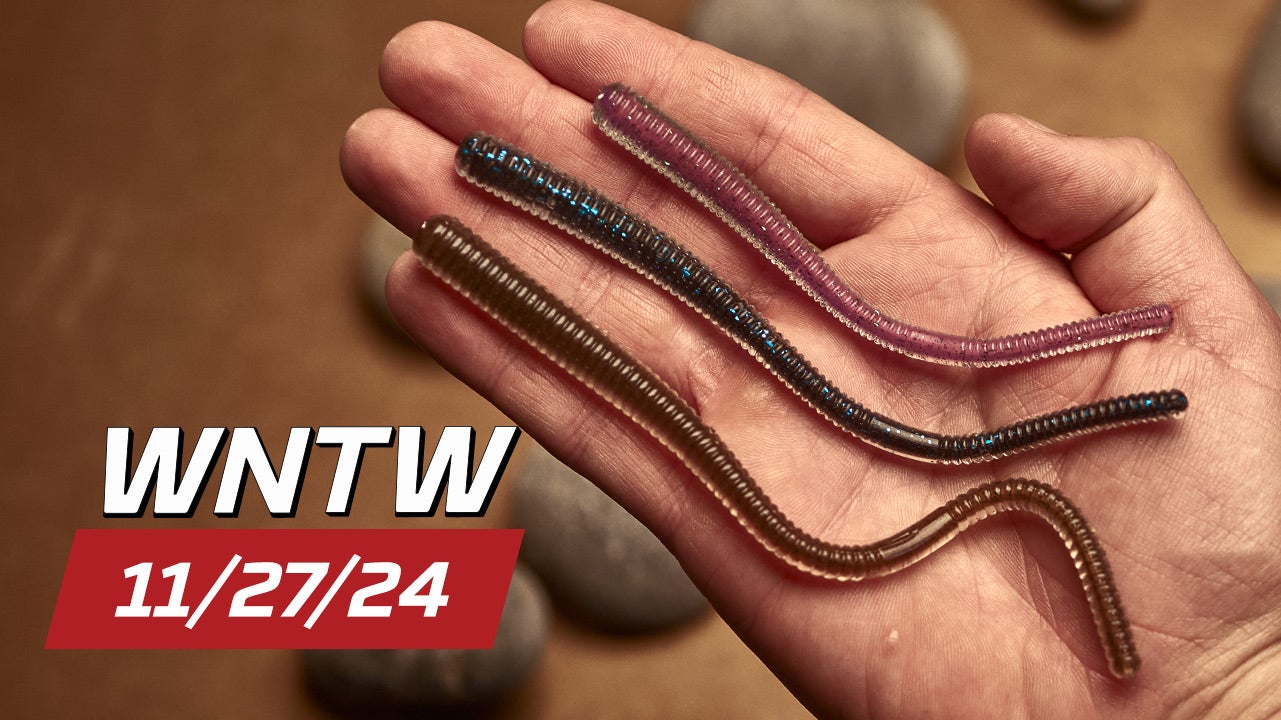 What's New at Tackle Warehouse 11/27/24