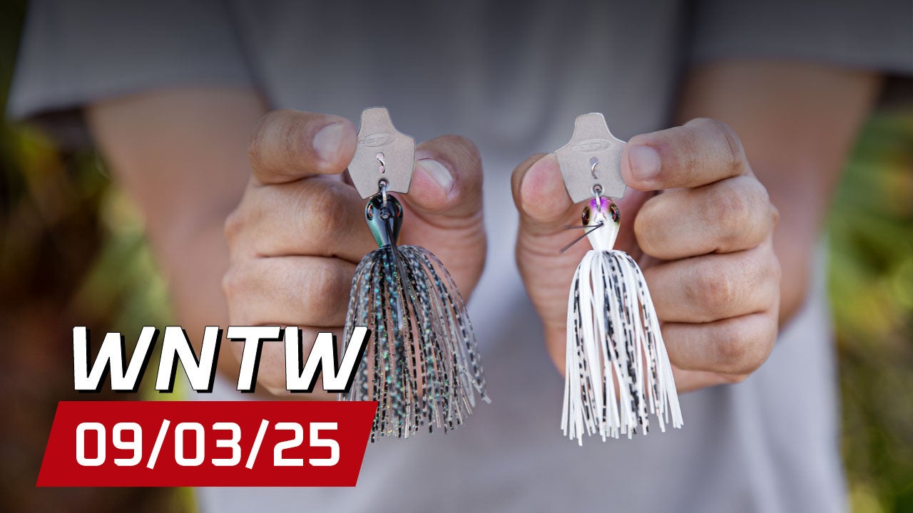 What's New at Tackle Warehouse 09/03/25