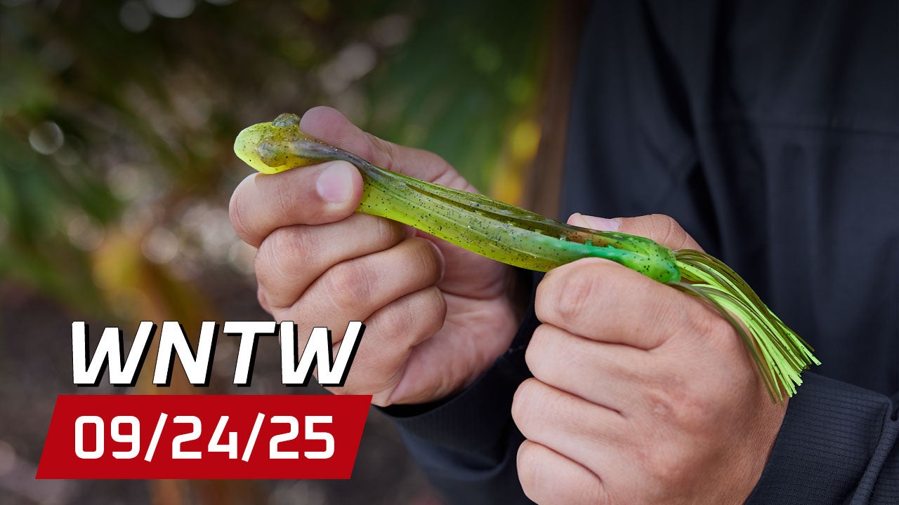 What's New at Tackle Warehouse 09/24/25