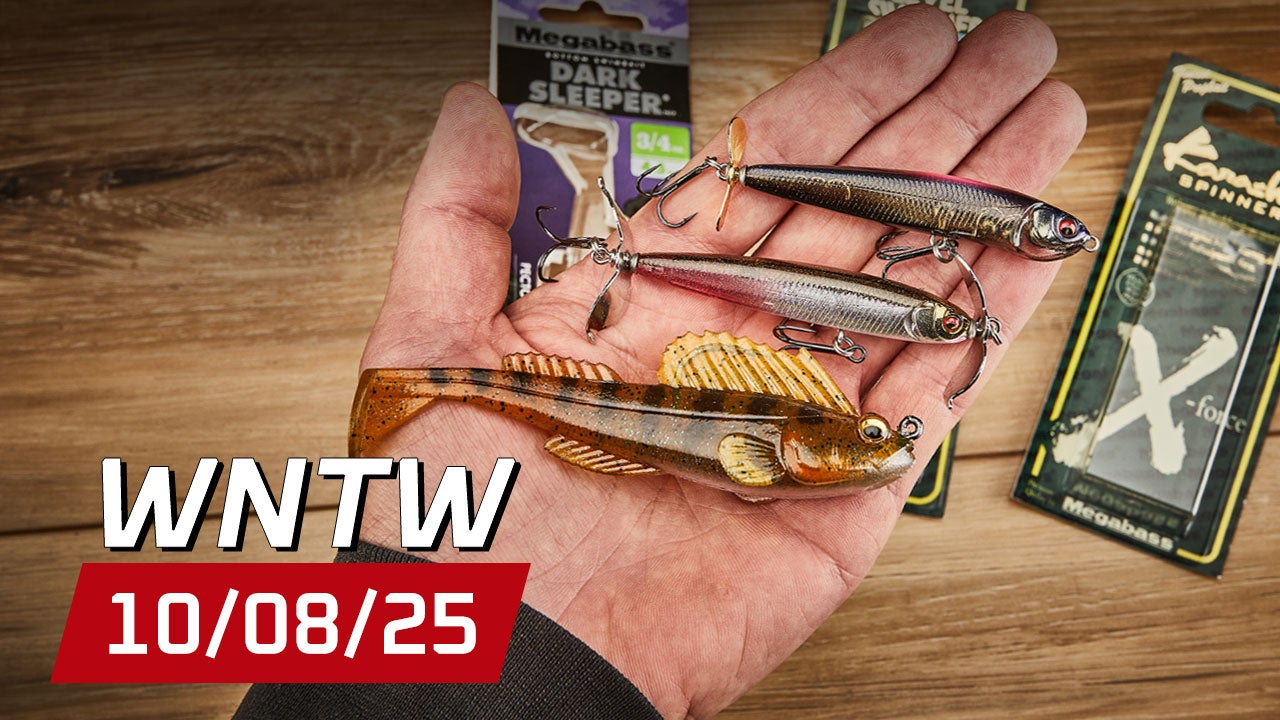 What's New at Tackle Warehouse 10/8/25