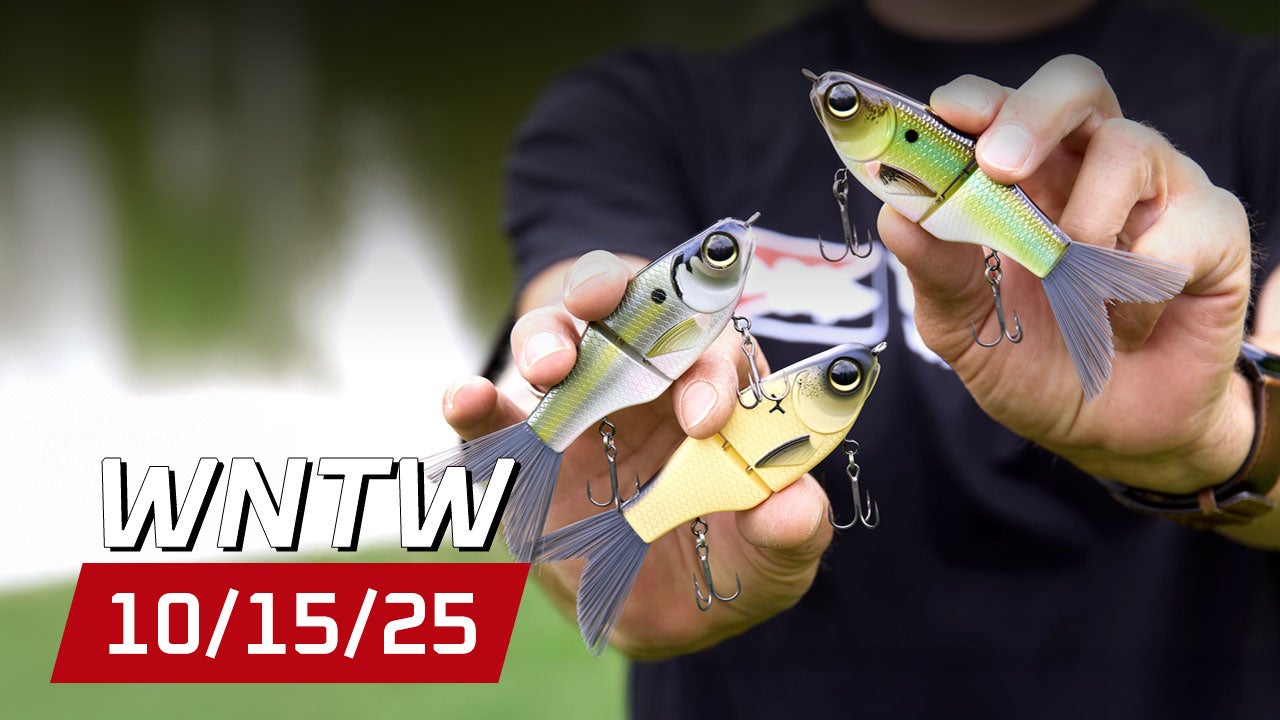 What's New at Tackle Warehouse 10/15/25