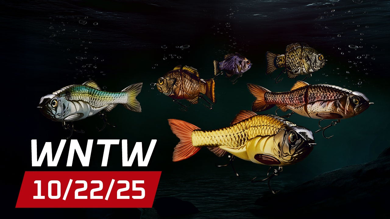 What's New at Tackle Warehouse 10/22/25