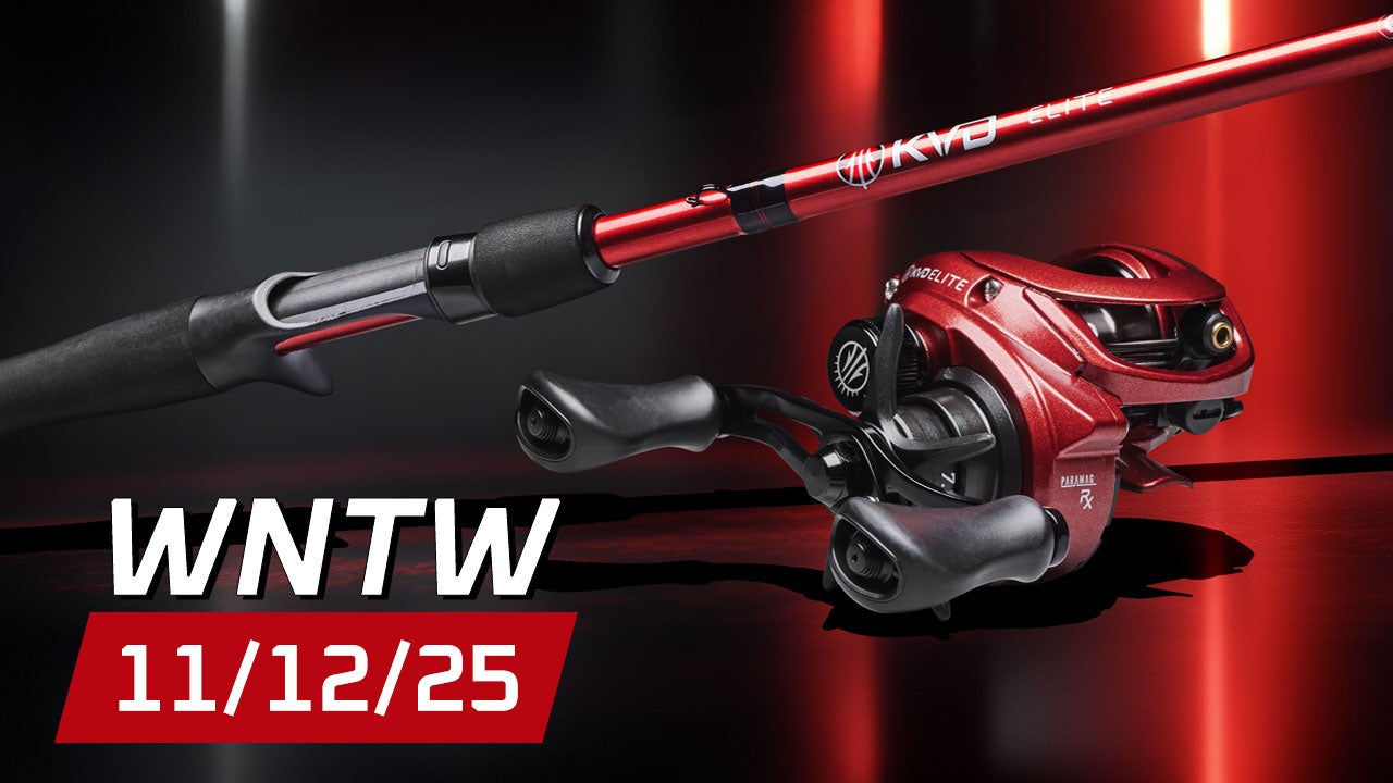 What's New at Tackle Warehouse 11/12/25