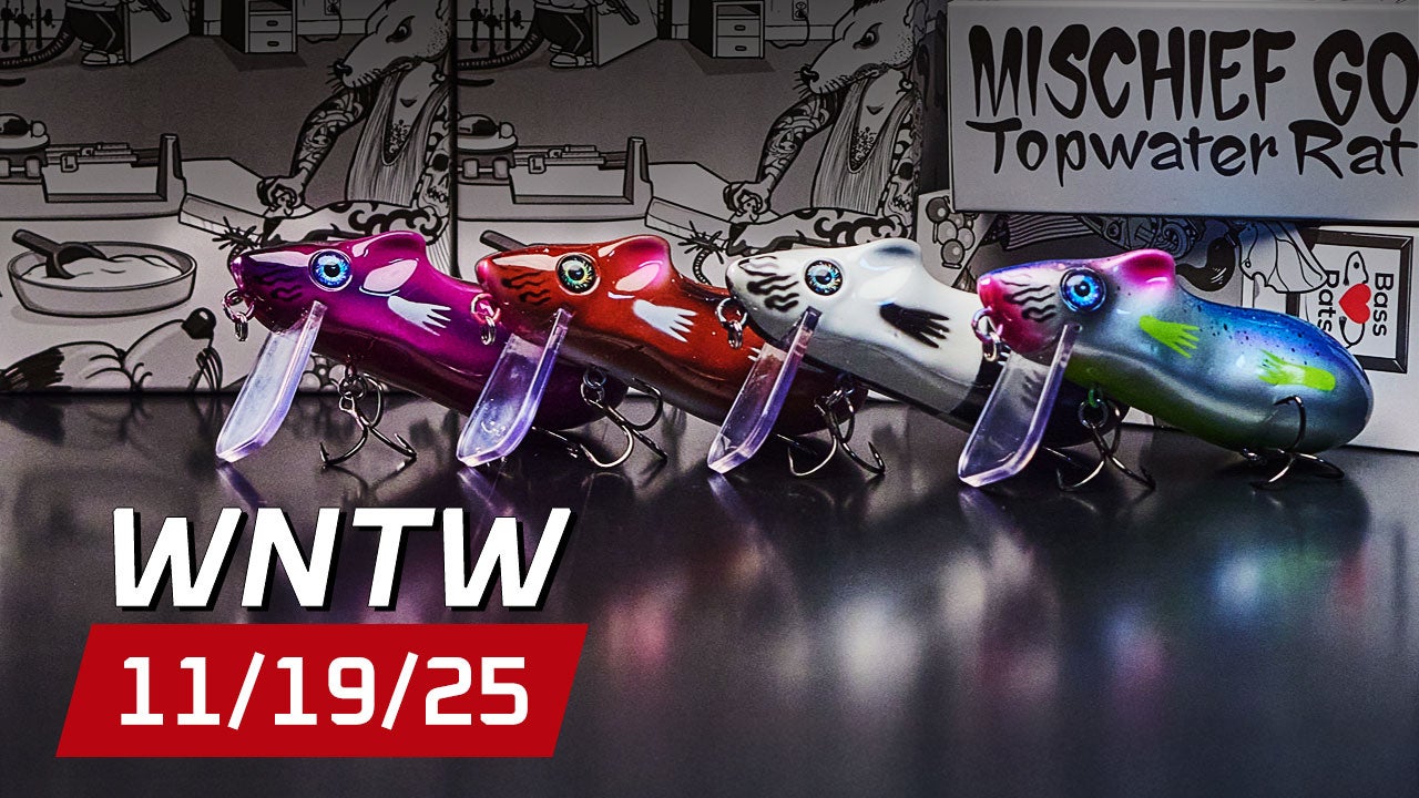 What's New at Tackle Warehouse 11/19/25