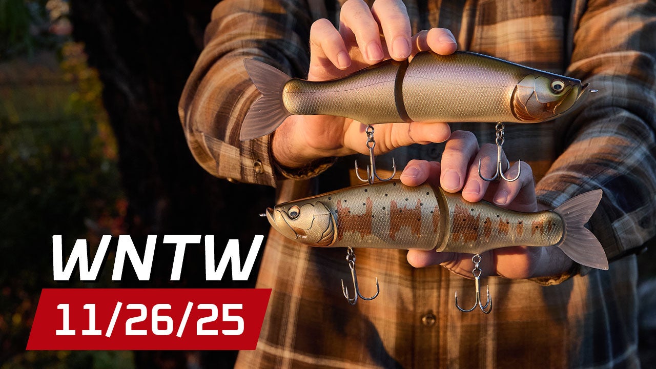What's New at Tackle Warehouse 11/26/25