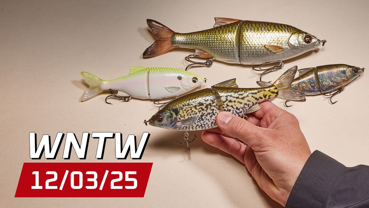 What's New at Tackle Warehouse 12/3/25