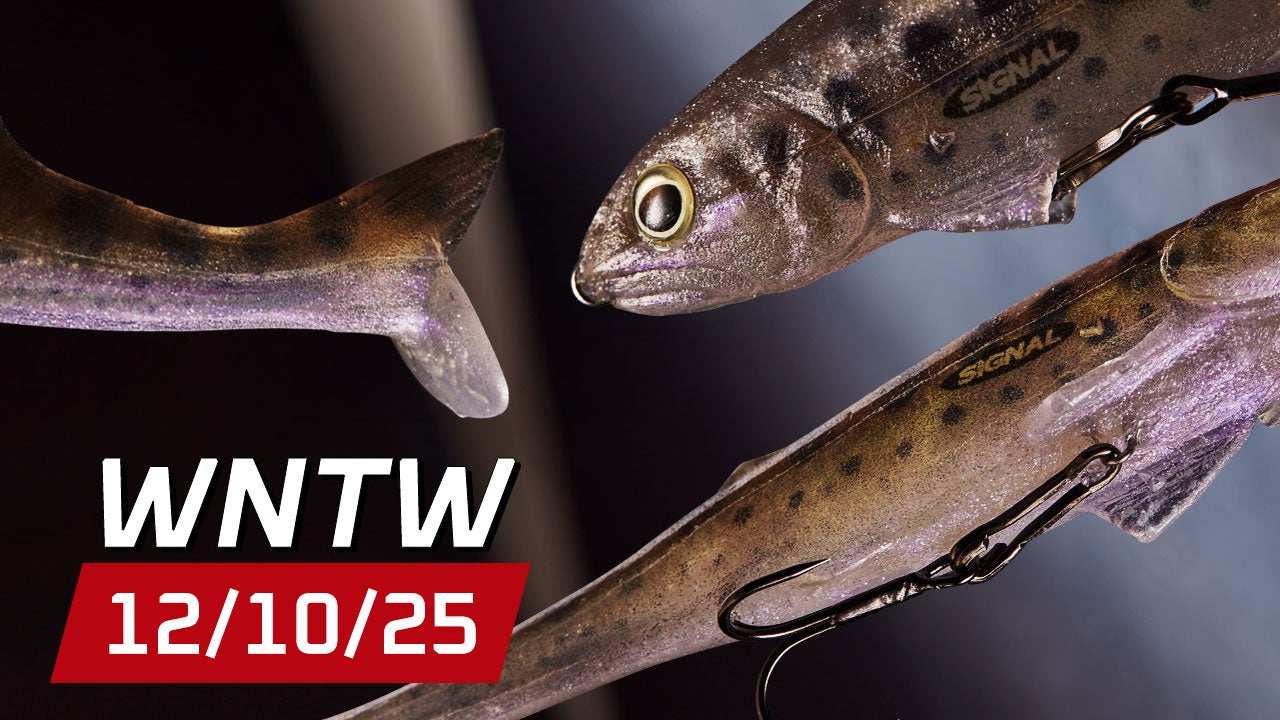 What's New at Tackle Warehouse 12/10/25
